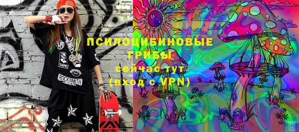 винт Инсар