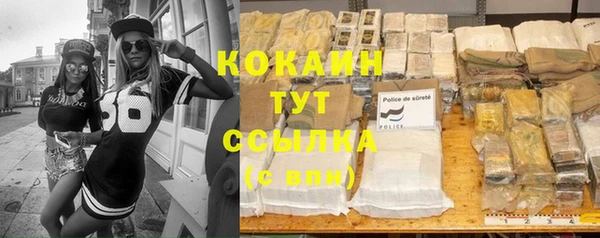 крисы Зерноград