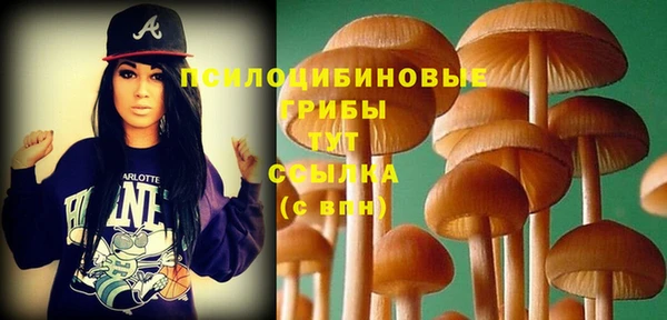 винт Инсар