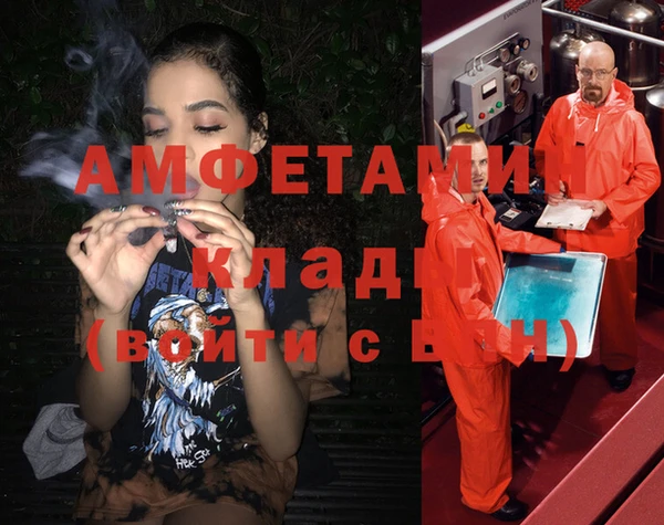прущие грибы Зеленодольск