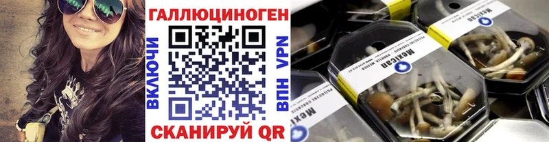 Купить закладки  Новошахтинск  Псилоцибиновые грибы мицелий 